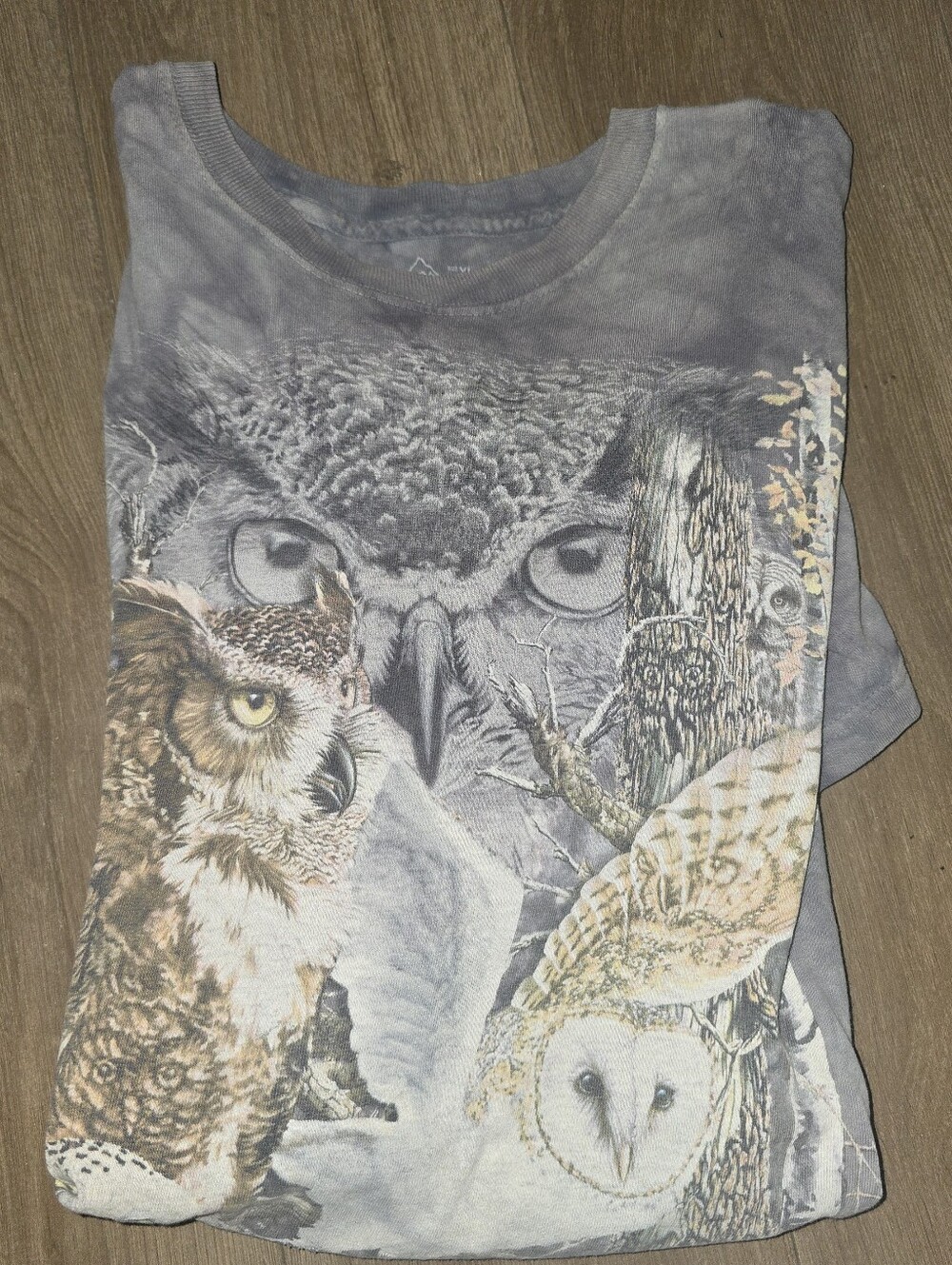 The Mountain mens XL Owl T-Shirt Gray Graphic Print Short Sleeve